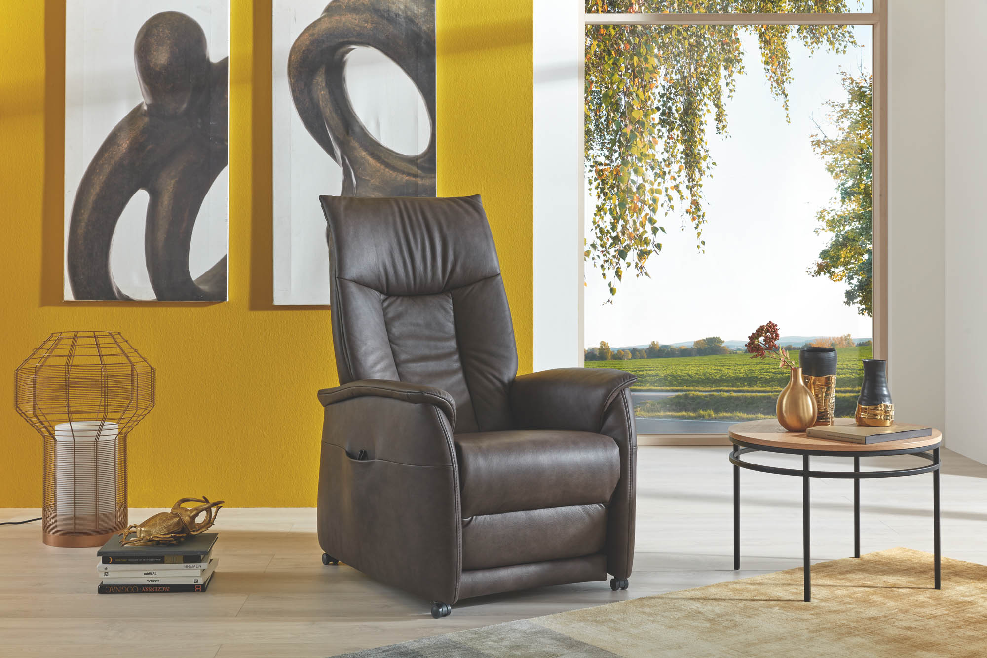 Himolla Fernsehsessel CUMULUS-VARIO PERFECT - echt Leder 24 Longru Afrika